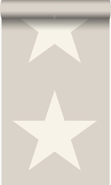 Origin Wallcoverings Tapete Sterne Grau - 53 cm x 10.05 m - 346826