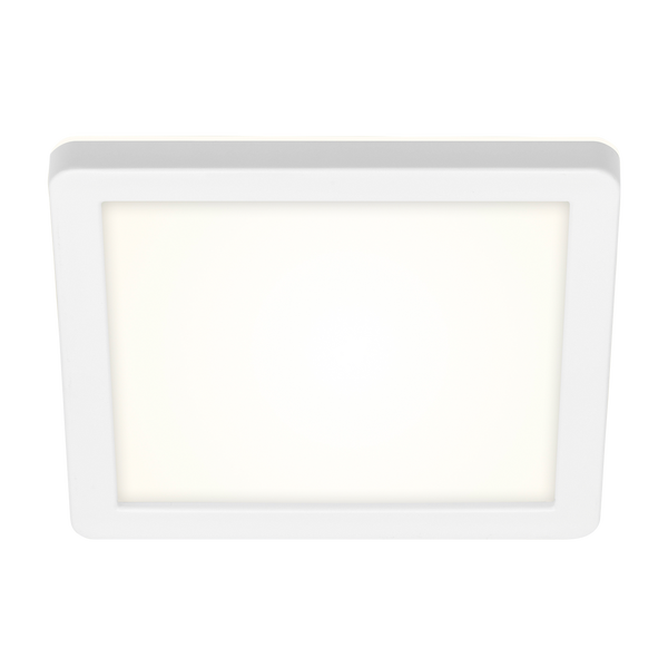 BRILONER FRANKFURT LED Außenwandleuchte, IP44 Spritzwasserschutz, Backlighteffekt, Neutralweißes Licht, weiß, 19 x 19 x 2,8 cm