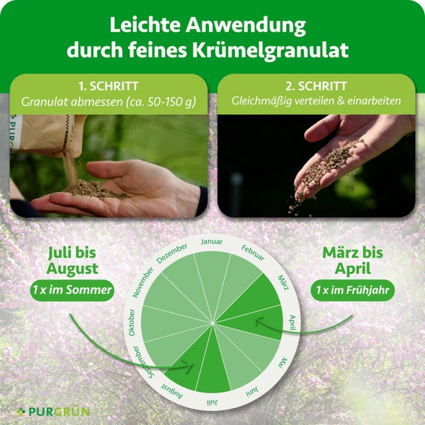 Festool Tauchsäge TSV 60 KEBQ mit Vorritzer, Führungsschiene FS 1900/2, Sägeblatt und Netzkabel im Systainer.