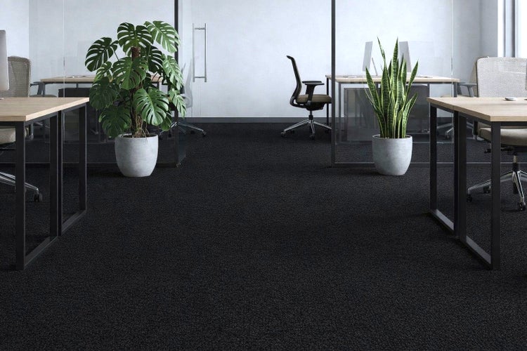 Büro mit Schreibtischen, Bürostühlen, Zimmerpflanzen und schwarzem Teppichboden.