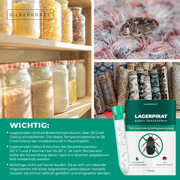 Silberkraft Lagerpirat gegen Speckkäfer. Silberkraft Logo. Zeigt organisierte Vorratskammer, Käfer auf Teppich, Produkt und Anwendungshinweise.