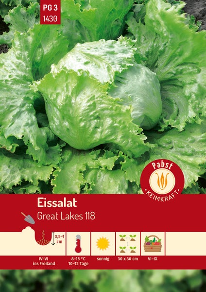 Samenpackung für Eissalat Great Lakes 118 mit Salatkopf, Pabst Keimkraft Logo und Symbolen für Aussaat, Temperatur und Ernte.