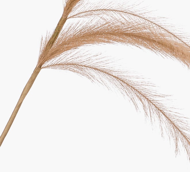 Künstlicher brauner Deko-Zweig Pampasgras mit federartigen Wedeln.