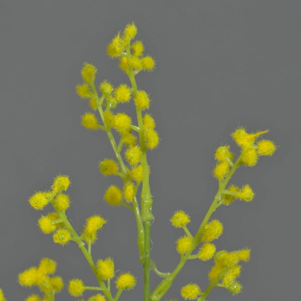Kunstblume Mimose mit gelben flauschigen Blüten an einem grünen Zweig.