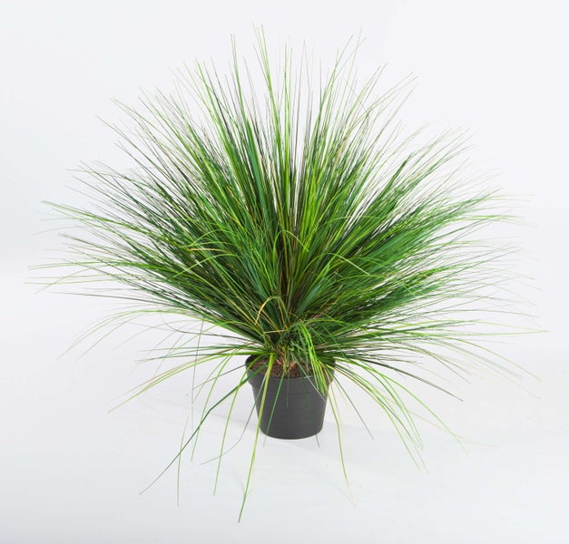 Künstlicher Lavendelbund mit Juteband zum Aufhängen, lilafarbene Blüten und grüne Stiele.