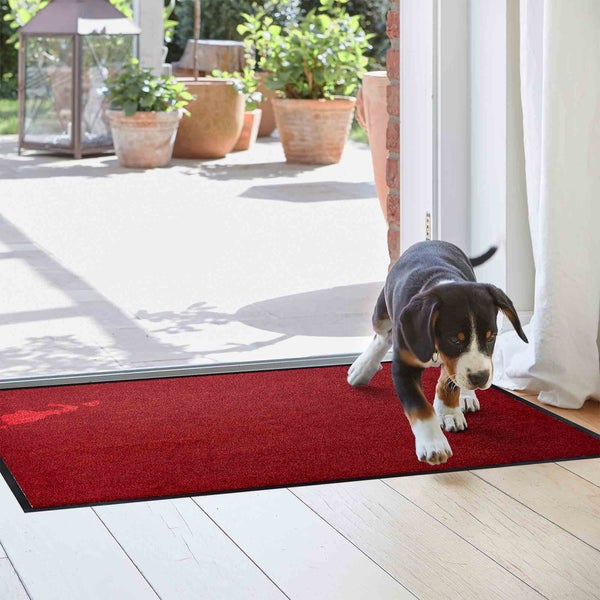Roter Fußabtreter mit schwarzer Umrandung und einem Hundewelpen, der durch eine offene Tür ins Haus kommt