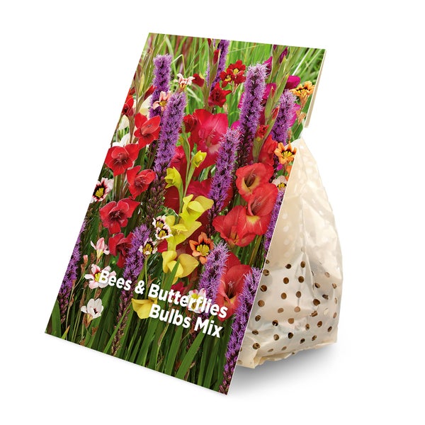 Bloomique - Mischung aus 75 - Schmetterlinge und Bienenmischung - Liatris, Sparaxis, Allium, Crocosmia, Tigridia - Blumenzwiebeln - mehrjährig - Sommerblüher - winterhart - wird bis zu 25-125 cm groß