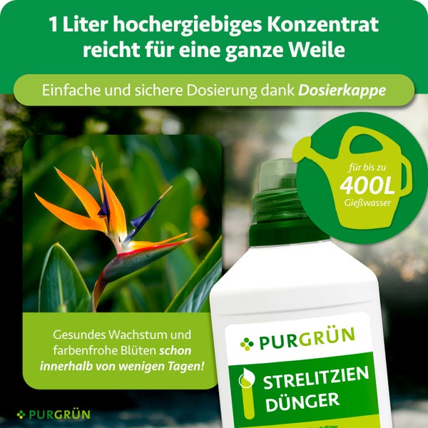 Purgrün Strelitzien Dünger Konzentrat, 1 Liter Flasche für 400 Liter Gießwasser, mit Dosierkappe für gesundes Wachstum und farbenfrohe Blüten.