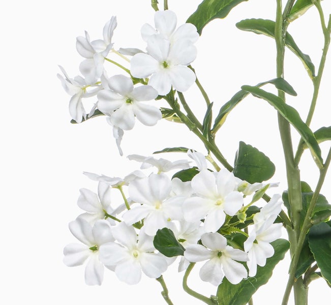 Künstliche Phlox-Blume mit weißen Blüten und grünen Blättern.