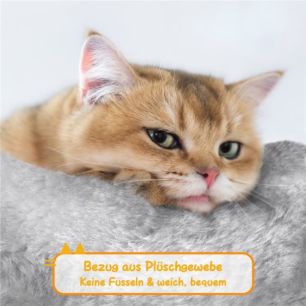Katze ruht auf einem weichen Plüschbezug