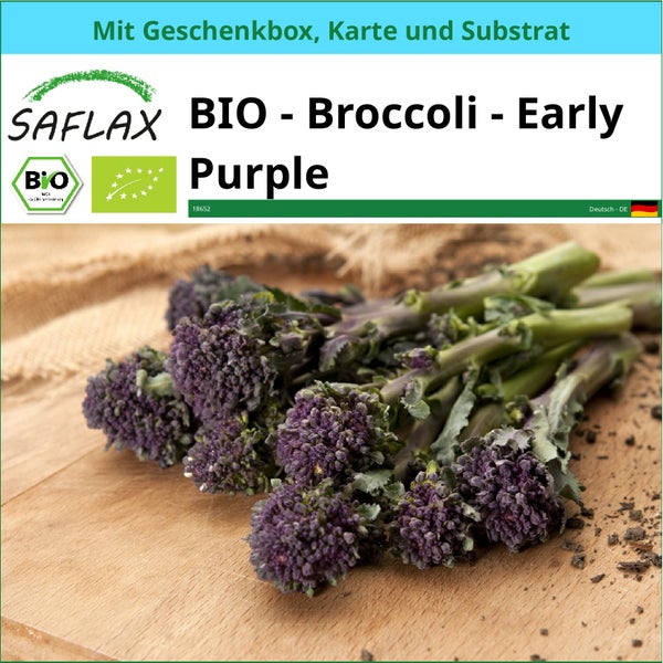 SAFLAX Geschenk Set - BIO - Broccoli - Early Purple - Brassica oleracea - 150 Samen - Mit Geschenkbox, Versandaufkleber, Geschenkkarte und Anzuchtsubstrat