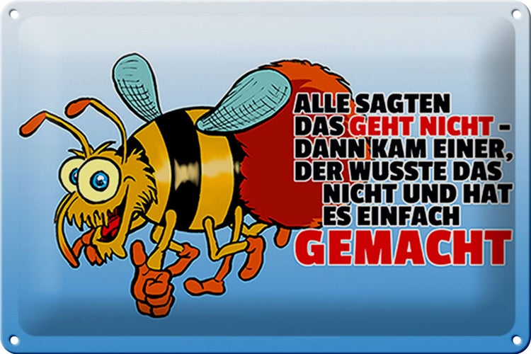 Blechschild Spruch 30x20cm Alle sagten das geht nicht