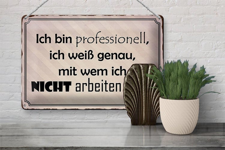Blechschild Spruch 30x20cm ich bin professionell ich weiß