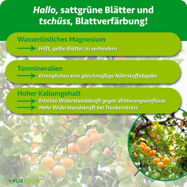 Infografik zum Purgrün Pflanzendünger mit Vorteilen wie wasserlöslichem Magnesium, Tonmineralien und hohem Kaliumgehalt für gesunde Pflanzenblätter.