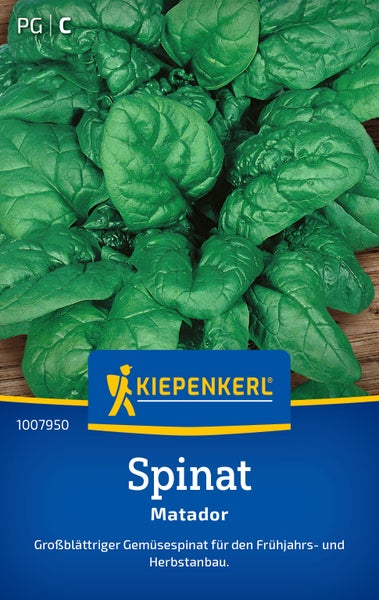 Saatgut für großblättrigen Spinat Matador von Kiepenkerl für den Anbau im Frühjahr und Herbst