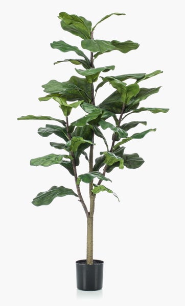 Nahaufnahme einer künstlichen Ficus Lyrata Pflanze mit strukturierten grünen Blättern und braunen Stielen.