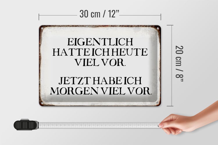 Blechschild Spruch 30x20cm eigentlich hatte heute viel vor