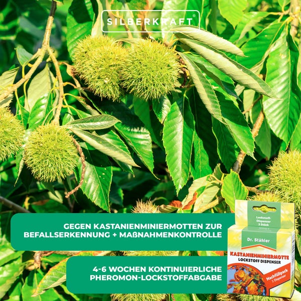 Kastanienminiermotte Lockstoffdispenser – Effektive Pheromonfallen für den Schutz von Rosskastanien – Einfache Anwendung für Garten & öffentliche Anlagen