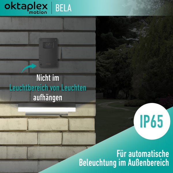 Oktaplex Bela 2er Set Dämmerungsschalter Außen mit Timer IP65 230V anthrazit