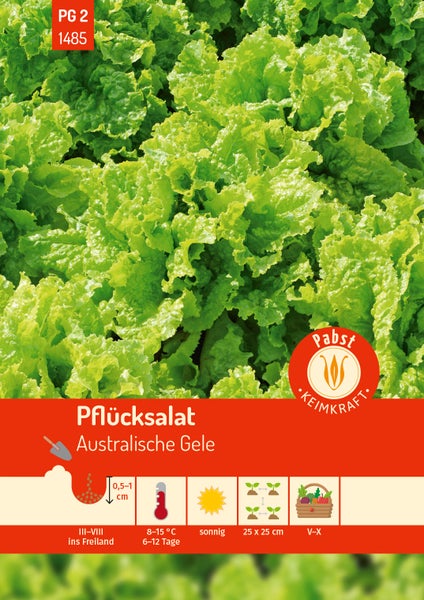 Pflücksalat spätschossend & ertragreich Australische Gele Samen von Pabst Keimkraft