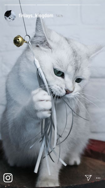 Premium Katzenangel Set mit 4 handgemachten Anhängern: Naturfedern, Echtes Schaffell, robustes Ziegenleder, lustige Bänder. Einfach zu wechseln