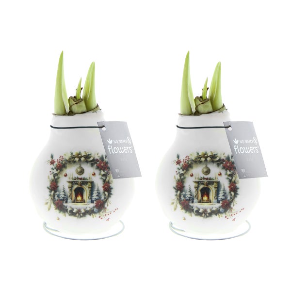 Austreibende Amaryllis-Zwiebel im weißen Keramiktopf mit Kamin-Motiv auf einem Holztisch.