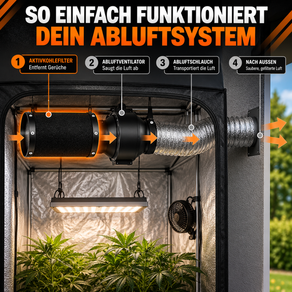 Infografik zur Funktionsweise eines Abluftsystems in einer Pflanzenzuchtbox mit Aktivkohlefilter, Abluftventilator und Abluftschlauch.