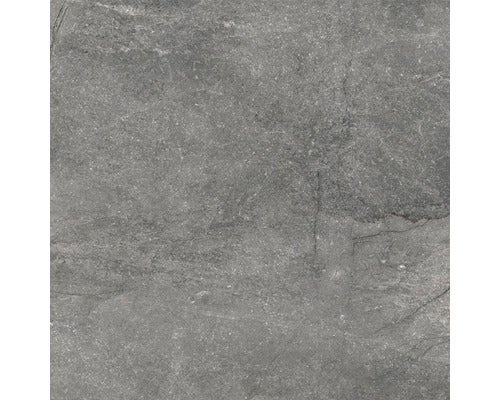 Wand- und Bodenfliese Wells ash poliert 60x60cm