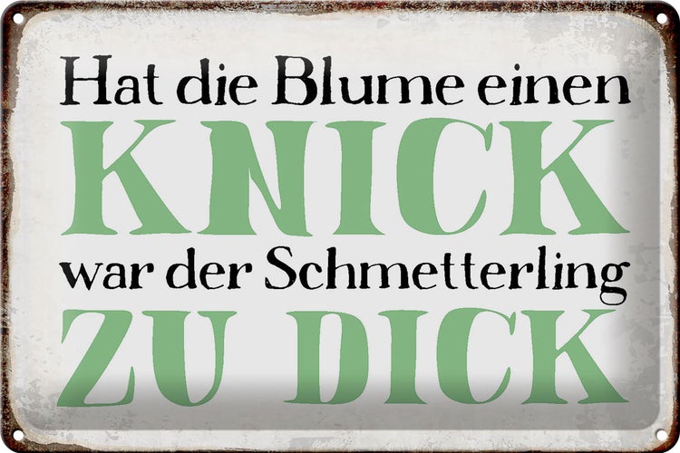 Blechschild Spruch 30x20cm Blume Knick Schmetterling dick