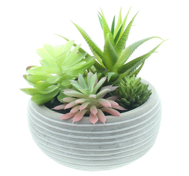 FRANK FLECHTWAREN|Kunstpflanze Sukkulenten im Topf, Ø 12 x 14 cm, POLYETHYLEN, BETON, SAND, SCHAUMSTOFF