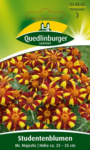 Samentüte für Studentenblumen Mr. Majestic, Quedlinburger Saatgut Logo, gelb-rot gestreifte Blüten, Höhe circa 25 bis 35 cm.