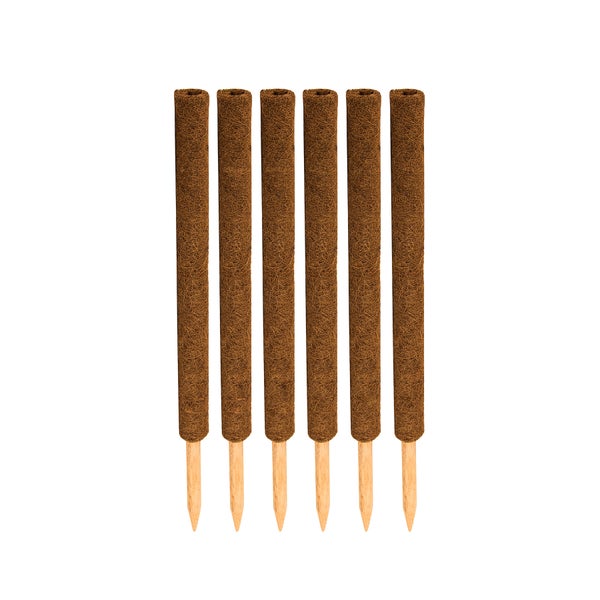 BigDean 6er Set Pflanzstäbe Kokos 60 cm - Monstera Rankhilfe Rankstäbe Stab Moosstäbe Pflanzenstäbe Kokosstäbe für Pflanzen - aus natürlicher Kokosfaser - verlängerbar