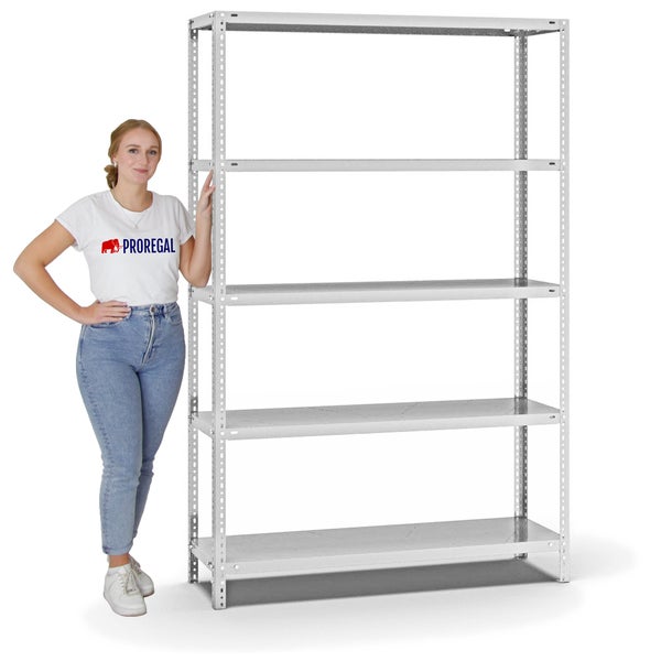 PROREGAL Fachbodenregal Schraubsystem Light-Duty Grundregal HxBxT 200 x 130 x 40 cm 5 Ebenen Fachlast 125 kg Beidseitig Nutzbar Lichtgrau