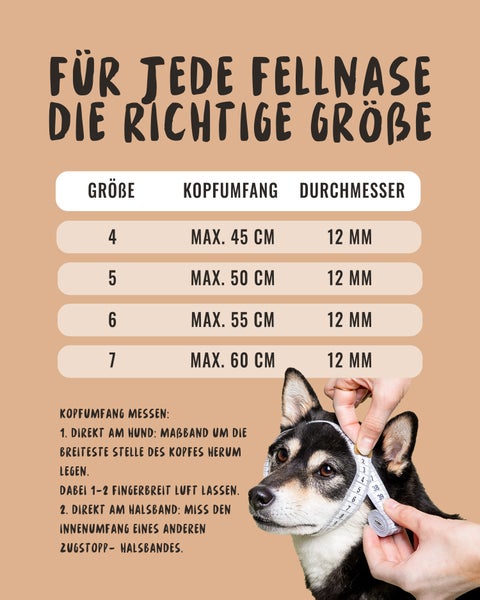 Größentabelle zur Bestimmung der richtigen Größe für ein Hundehalsband