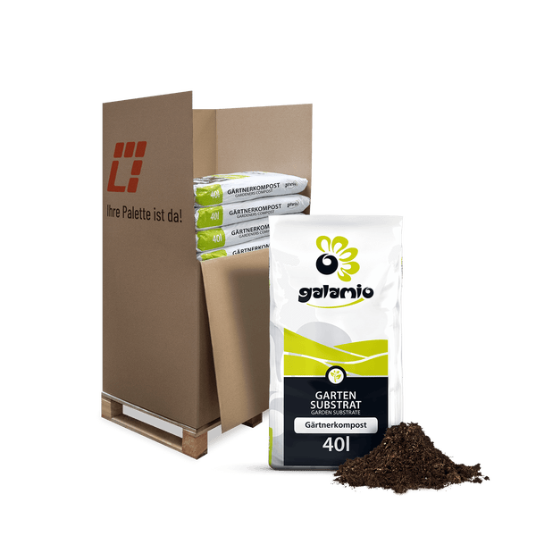 Zweiteilige Badewannenfaltwand aus Glas mit verchromten Beschlägen und Handtuchstange auf einer weißen Badewanne.