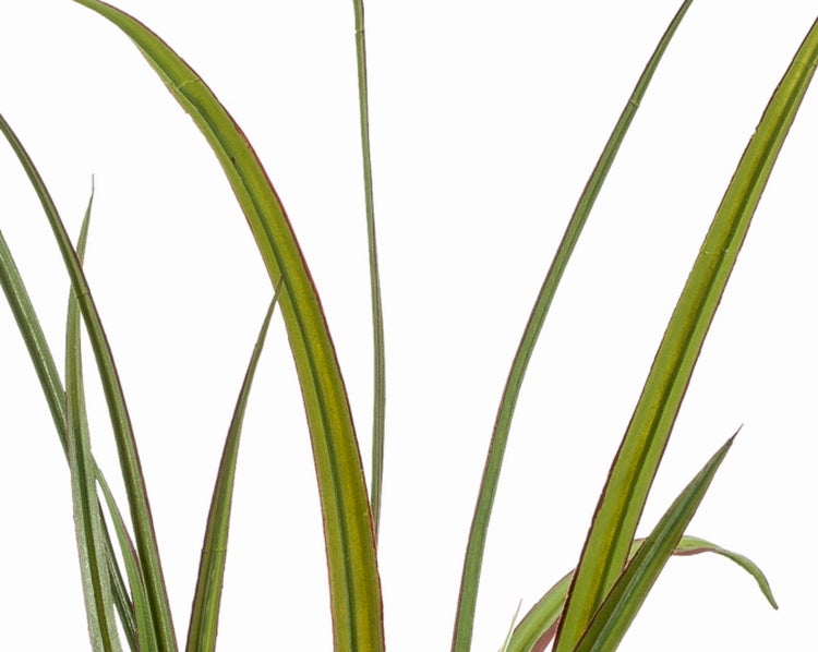 Künstlicher Rittersporn Zweig mit lila Blüten und grünen Blättern.