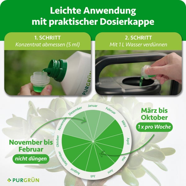 Anwendung Purgrün Flüssigdünger: 5 Milliliter auf 1 Liter Wasser. März bis Oktober wöchentlich düngen, sonst nicht. Purgrün Logo.