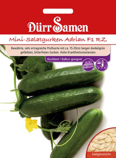 Dürr Samen Logo, Saatgut Mini-Salatgurken Adrian F1 RZ, geeignet für Hochbeet und Balkon, circa 15 bis 20 Zentimeter lange Gurken.