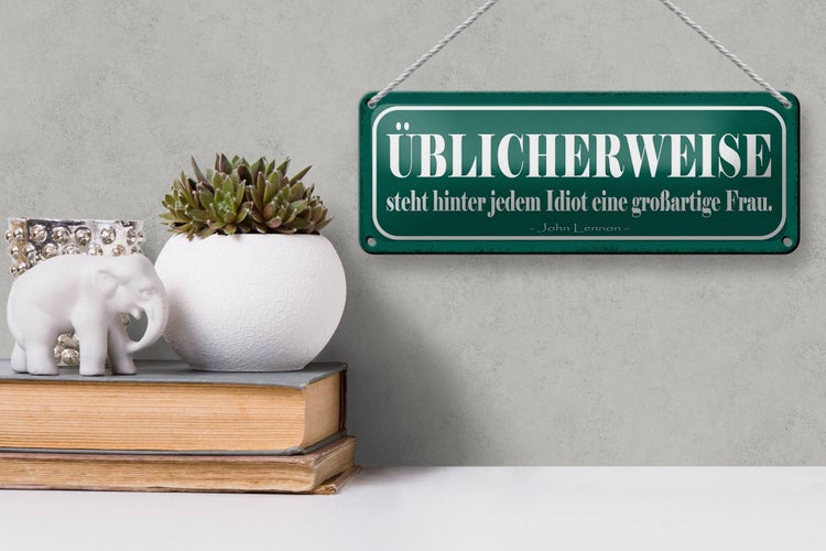 Blechschild Spruch 27x10cm hinter Idiot großartige Frau Dekoration