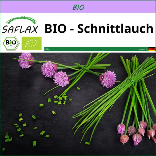 SAFLAX  - BIO - Schnittlauch - Allium schoenoprasum - 250 Samen