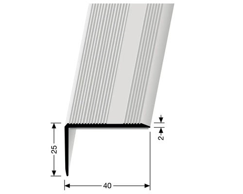 Winkelprofil 228 SK Selbstklend, Alu eloxiert edelstahl 100 cm