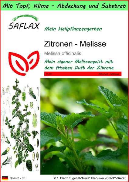 SAFLAX Garden to go - Zitronen - Melisse - Melissa officinalis - 150 Samen - Mit Topf, Klima - Deckel und Anzuchtsubstrat