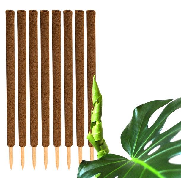 BigDean 8er Set Pflanzstäbe Kokos 110 cm - Monstera Rankhilfe Rankstäbe Stab Moosstäbe Pflanzenstäbe Kokosstäbe für Pflanzen - aus natürlicher Kokosfaser - verlängerbar