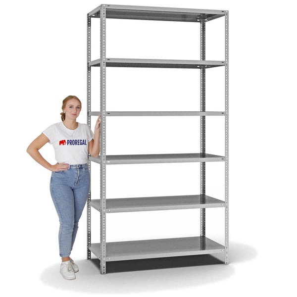 PROREGAL Fachbodenregal Schraubsystem Heavy-Duty Grundregal HxBxT 250 x 130 x 60 cm 6 Ebenen Fachlast 350 kg Beidseitig Nutzbar Verzinkt