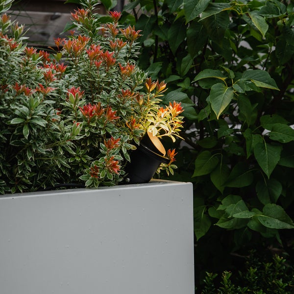 Schwarzer Gartenstrahler beleuchtet eine Pflanze mit rot-grünen Blättern in einem weißen Blumenkasten.