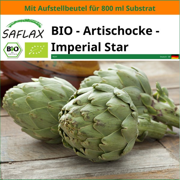 SAFLAX Garden in the bag - BIO - Artischocke - Imperial Star - Cynara scolymus - 5 Samen - Mit Anzuchtsubstrat im praktischen, selbst aufstellenden Beutel