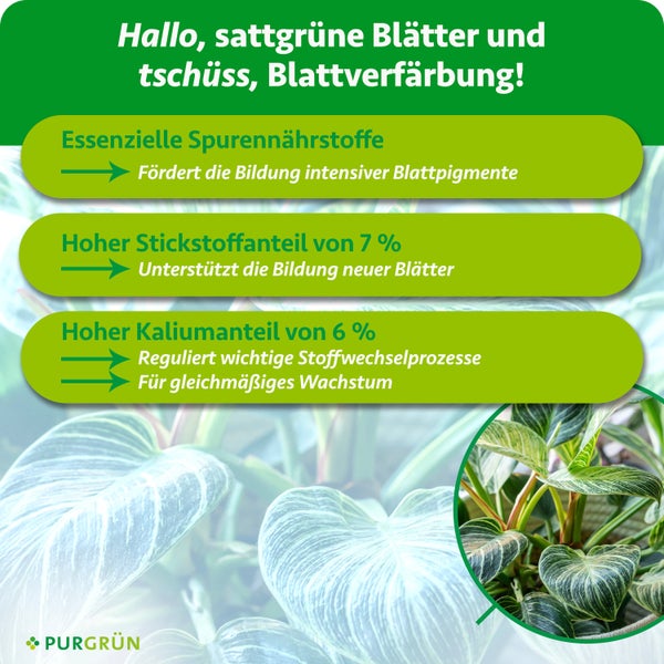 Purgrün Philodendron Dünger 1 Liter Konzentrat mit Dosierkappe für circa 400 Liter Gießwasser. Fördert gesundes Wachstum. Purgrün Logo.