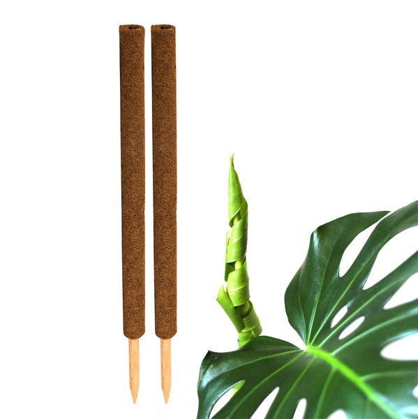 BigDean 2er Set Pflanzstäbe Kokos 80 cm - Monstera Rankhilfe Rankstäbe Stab Moosstäbe Pflanzenstäbe Kokosstäbe für Pflanzen - aus natürlicher Kokosfaser - verlängerbar