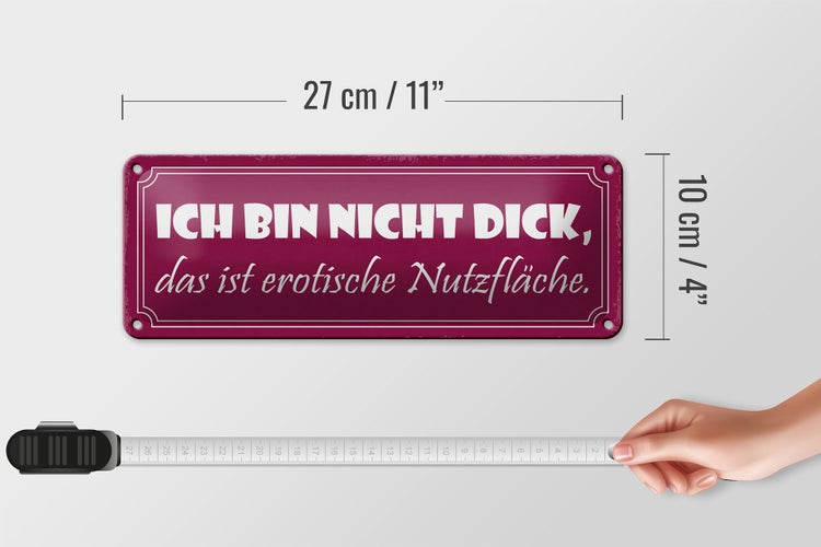 Blechschild Spruch 27x10cm nicht dick erotische Nutzfläche Dekoration