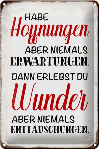 Blechschild Spruch 20x30cm habe Hoffnung Erwartungen Wunder